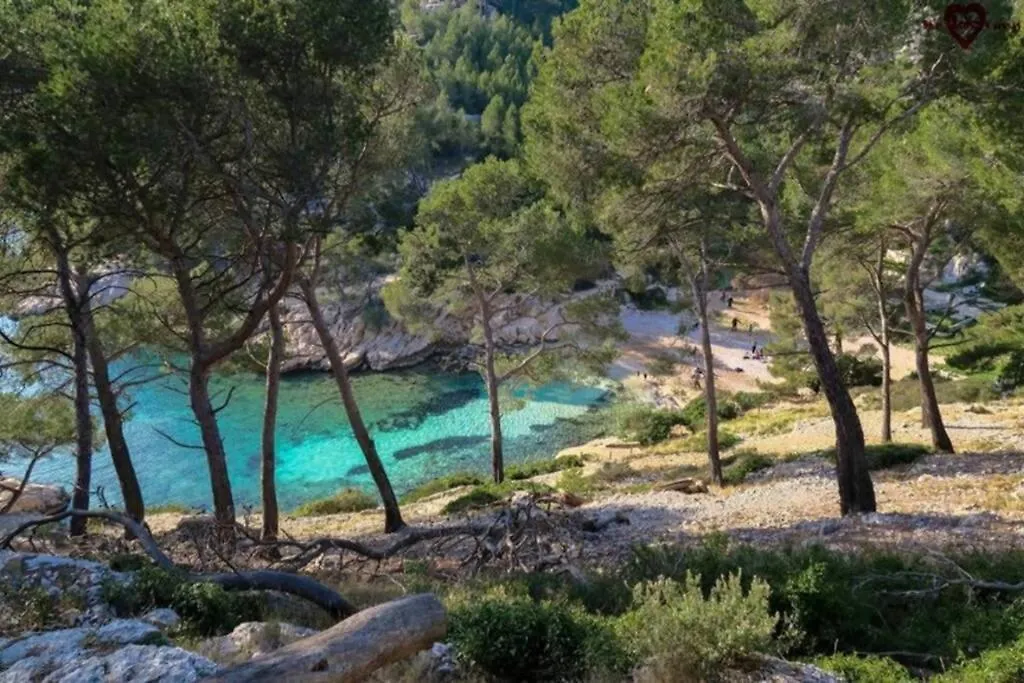 Cassis Grande Terrasse Emplacement Au Top A 1 Minute De La Plage A Pieds Apartment